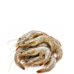 Jumbo Shrimps