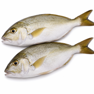 amans_ocean_butter_nose