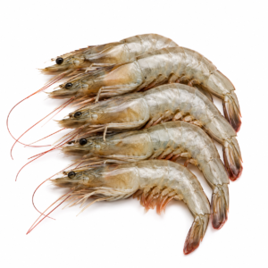 amans ocean prawns