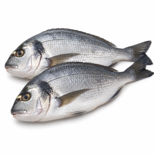 Sea Breams