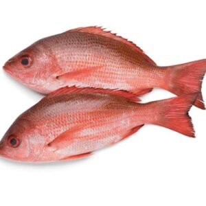 red fish