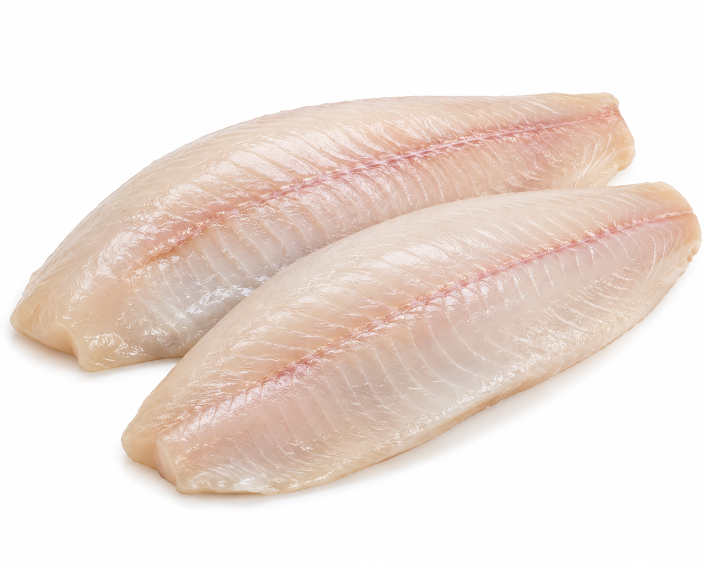 butter fish fillet